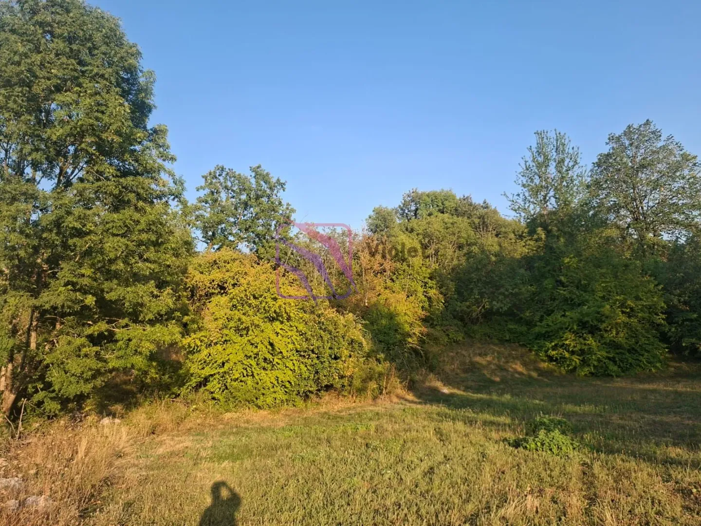Pogled na zeleno dvorište i šumoviti predio.