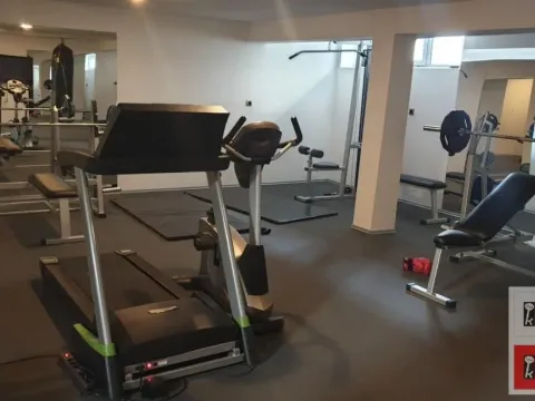 Rent, house, 1000m², Kać, Novi Sad Sve Podlokacije - image 36