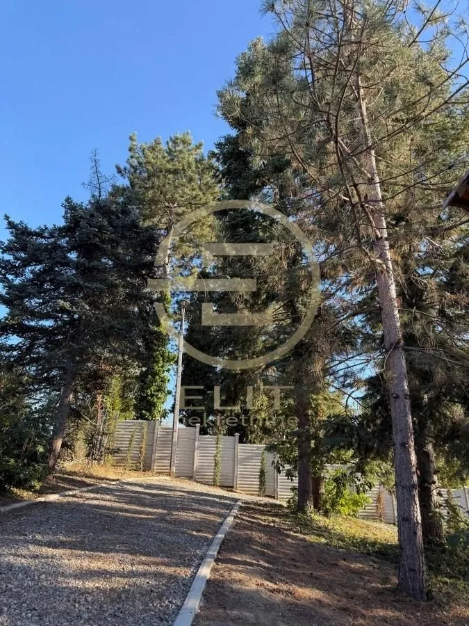 Pogled na dvorište puno zelenila i borova sa ograđenim delom.