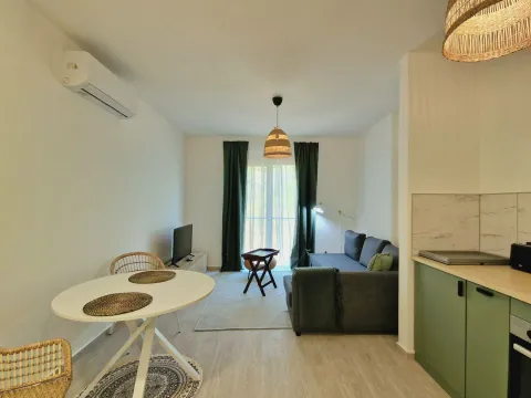 Izdavanje, garsonjera, 30m², Bečići, Budva - image 3