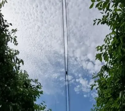 Prodaja, plac, 1030m², Sremska Mitrovica, Srbija - image 9