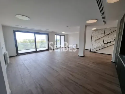 Poslovni prostor in Liman 3