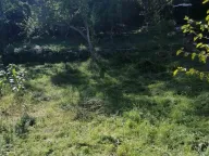 Sale, land lot, 600m², Prčanj, Kotor - image 4