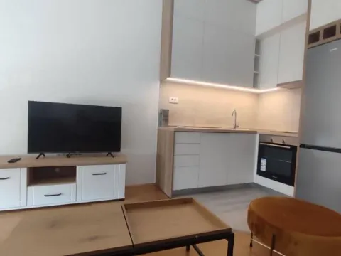 Rent, apartment, 30m², Ljubović, Podgorica - image 3