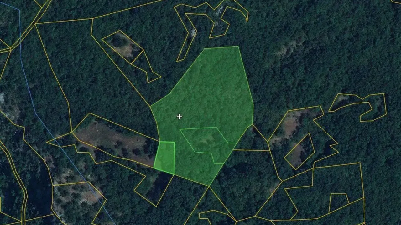 Sale, land lot, 10428m², Pod Goricom, Podgorica