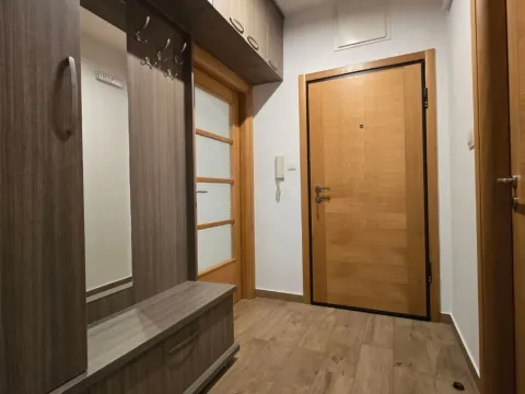 Rent, one bedroom apartment, 46m², Nova Dalmatinska, Podgorica - image 8