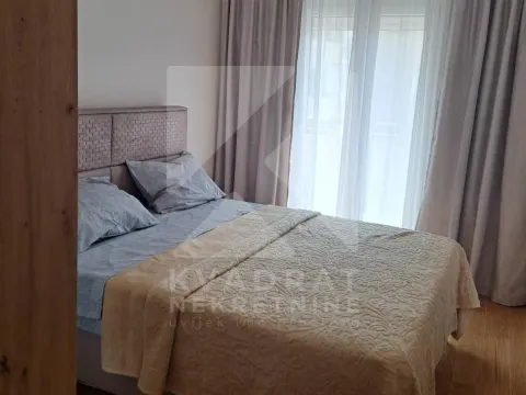 Izdavanje, jednosoban stan, 46m², Central Point, Podgorica - image 4