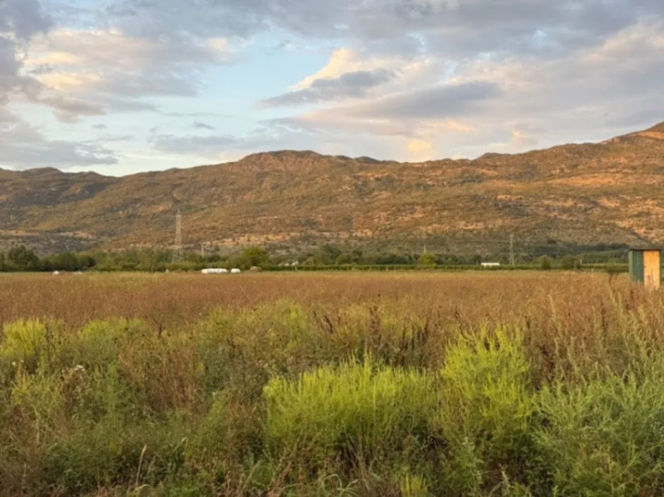 Prodaja, plac, 7050m², Mataguži, Podgorica
