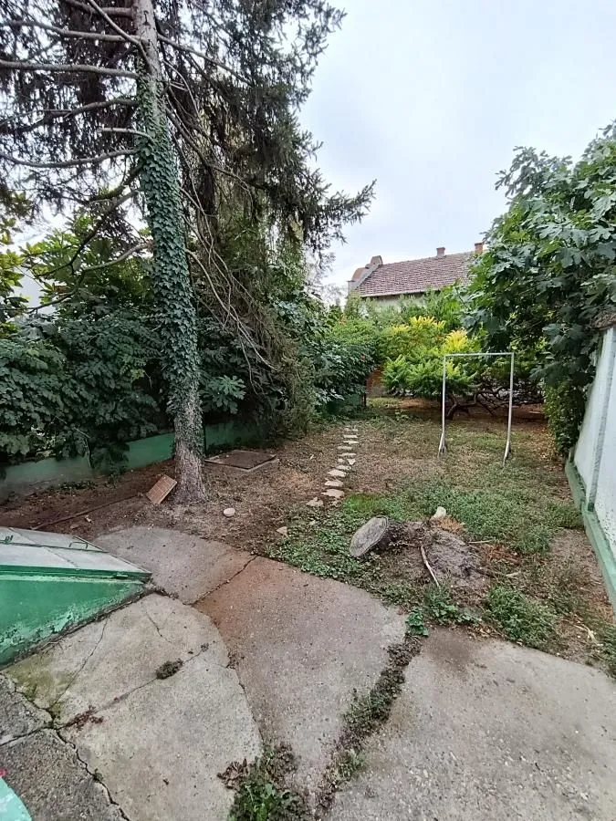 Zeleno dvorište sa stablima i stazom koja vodi ka kući.