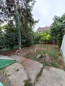 Zeleno dvorište sa stablima i stazom koja vodi ka kući. - image 13