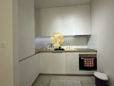 Izdavanje, jednosoban stan, 50m², New City, Podgorica - image 11