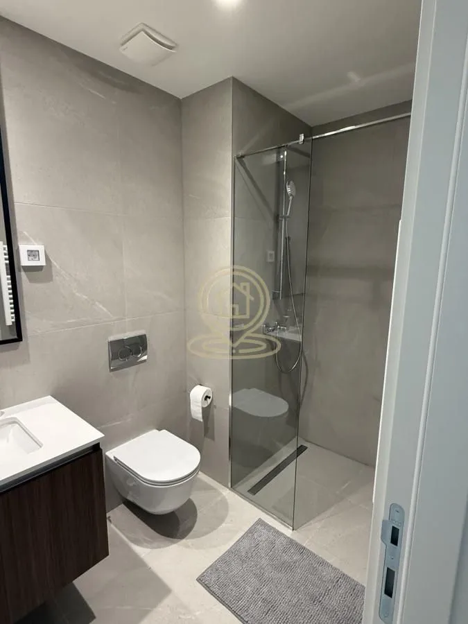 Modernly equipped bathroom with a walk-in shower and built-in fixtures.