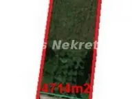 Prodaja, kuća, 220m², Ruma, Srbija - image 4