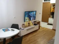 Izdavanje, dvosoban stan, 44m², Rotkvarija, Novi Sad Sve Podlokacije - image 2