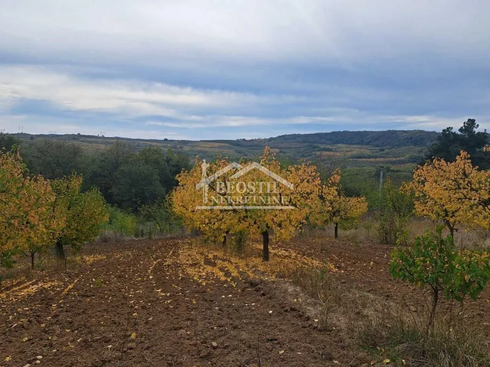 Prodaja, plac, 6900m², Grocka, Beograd