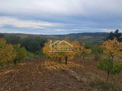 Sale, land lot, 6900m², Grocka, Beograd - image 6