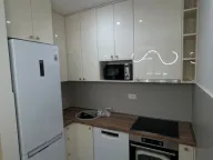 Izdavanje, jednosoban stan, 46m², Central Point, Podgorica - image 5