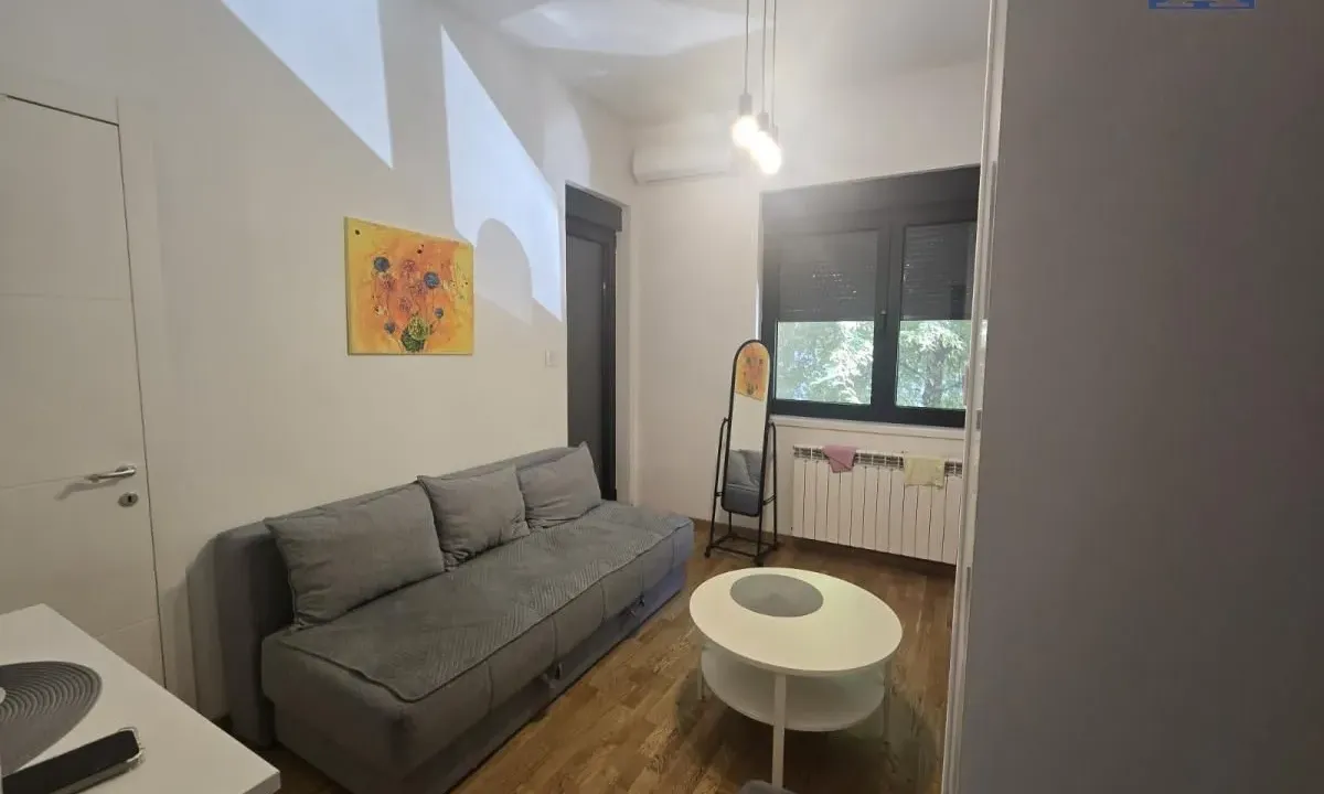 Rent, one bedroom apartment, 45m², Socijalno, Novi Sad Sve Podlokacije