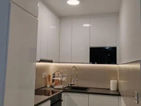 Izdavanje, jednosoban stan, 45m², Telep, Novi Sad Sve Podlokacije - image 5