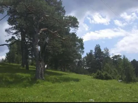 Prodaja, plac, 17000m², Žabljak, Crna Gora - image 9