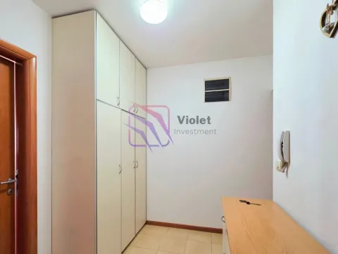 Izdavanje, jednosoban stan, 55m², Preko Morače, Podgorica - image 4