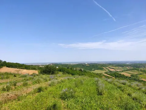 Prodaja, plac, 5600m², Novi Sad, Srbija - image 8