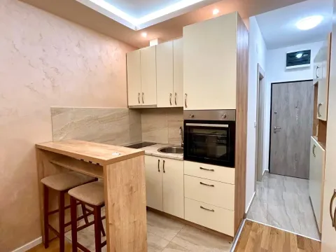 Rent, studio apartment, 24m², Zabjelo, Podgorica - image 2