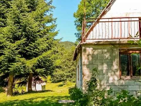 Prodaja, plac, 43000m², Šavnik, Crna Gora - image 9