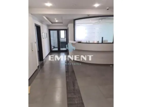 Izdavanje, poslovni prostor, 2776m², Zemun Sve Podlokacije, Beograd - image 6