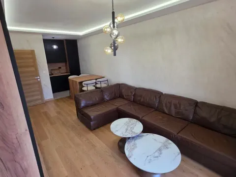 Izdavanje, jednosoban stan, 50m², New City, Podgorica - image 2