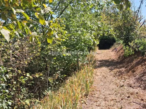 Prodaja, kuća, 30m², Ledinci, Petrovaradin - image 21