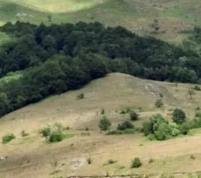 Prodaja, plac, 162100m², Kolašin, Crna Gora - image 2