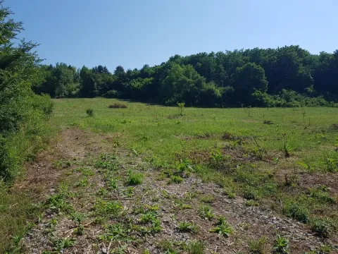 Sale, land lot, 300m², Boleč, Grocka - image 3