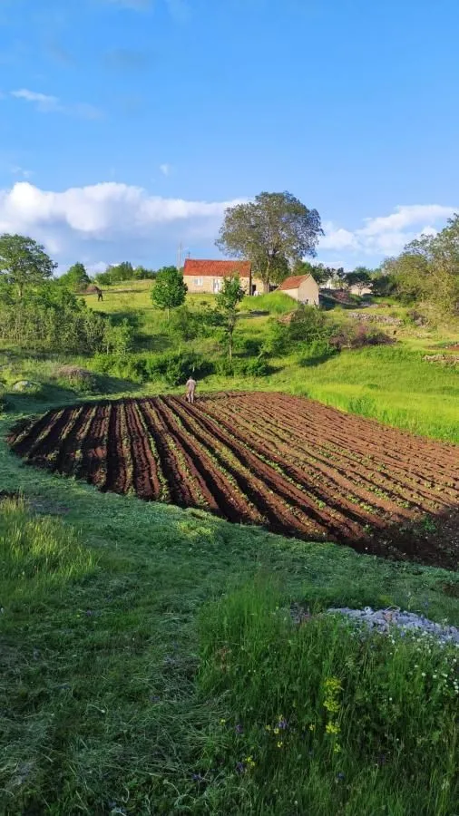 Prodaja, plac, 136000m², Dubočke, Nikšić
