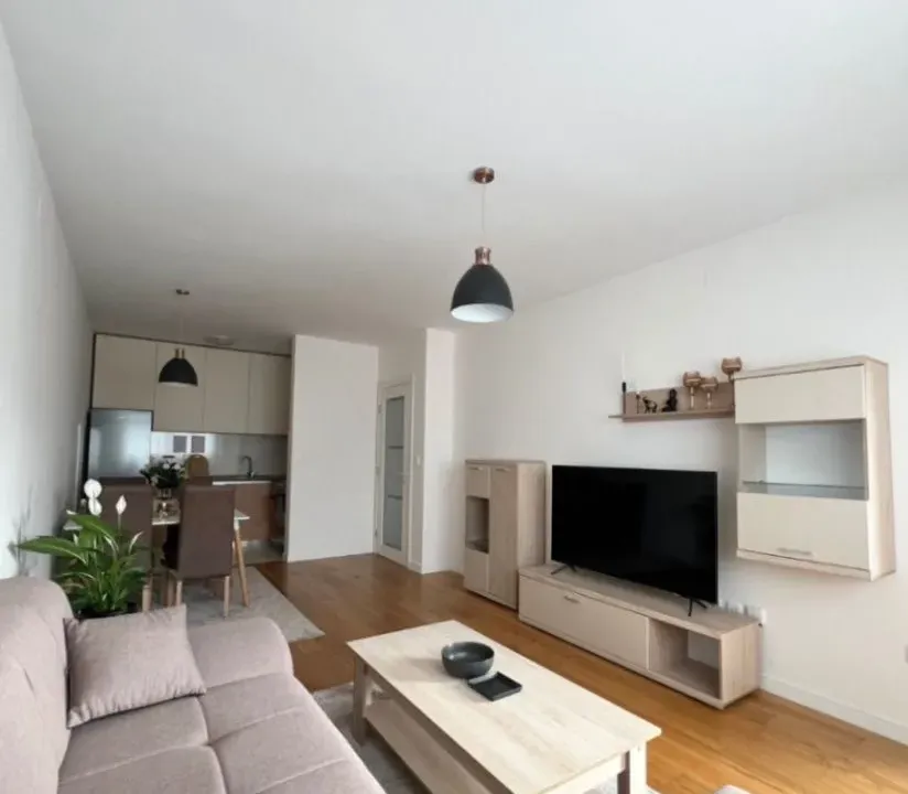 Izdavanje, jednosoban stan, 49m², Central Point, Podgorica
