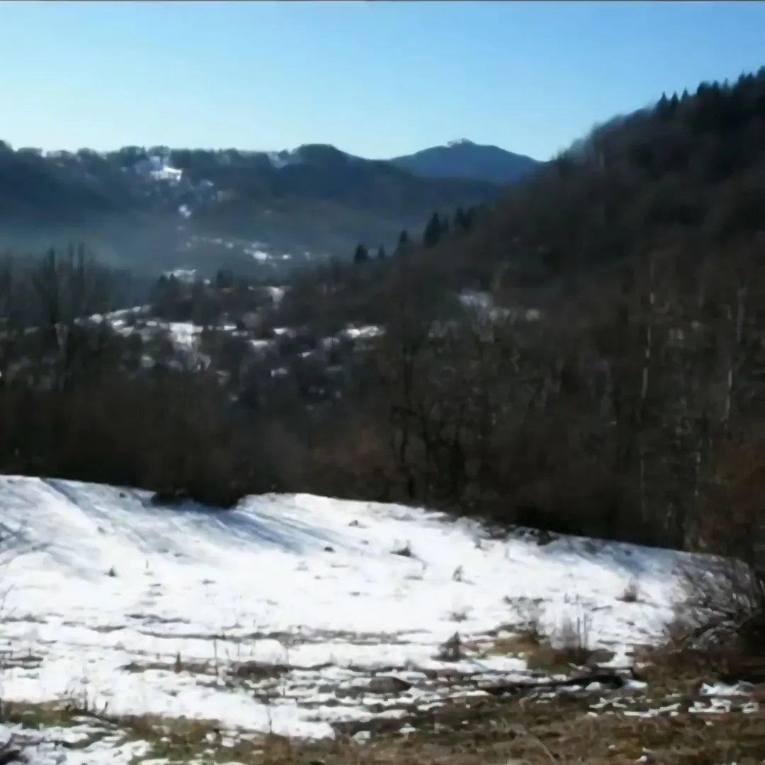 Pogled na planinski pejzaž prekriven snijegom sa parcele.