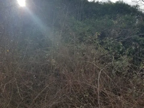 Sale, land lot, 50000m², Crmnica, Bar - image 2