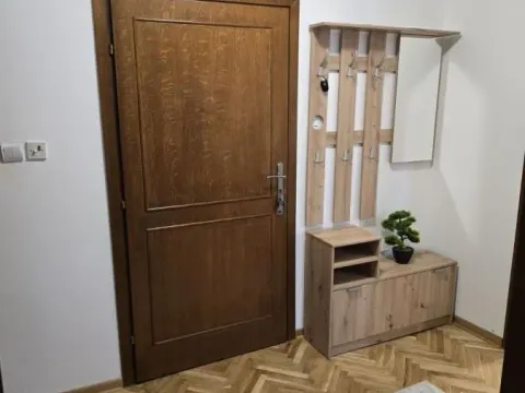 Izdavanje, dvosoban stan, 50m², Detelinara, Novi Sad Sve Podlokacije - image 11