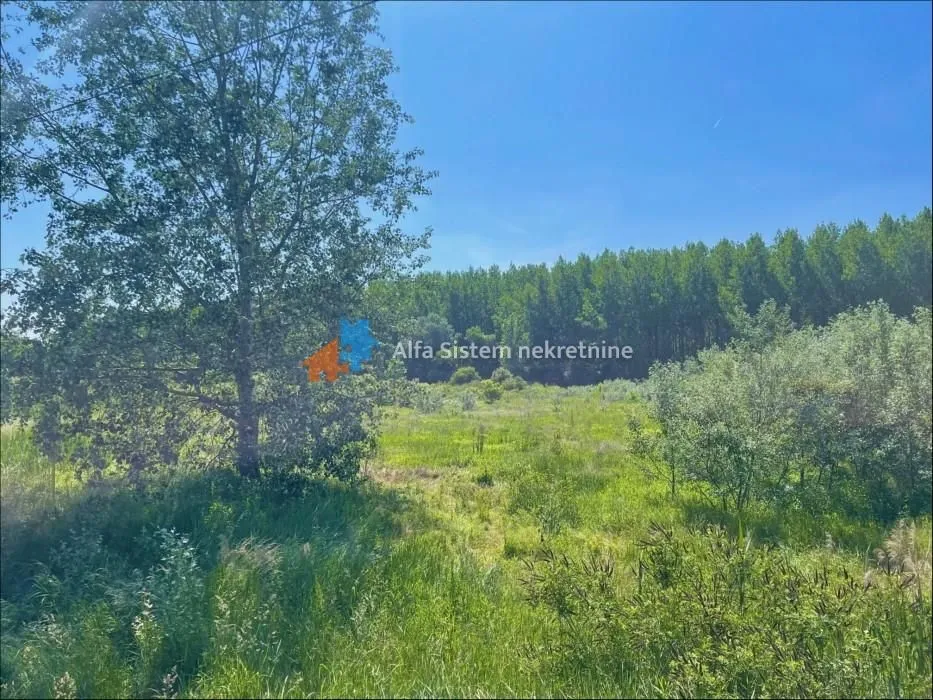 Prodaja, plac, 3700m², Krnjaca, Palilula Sve Podlokacije