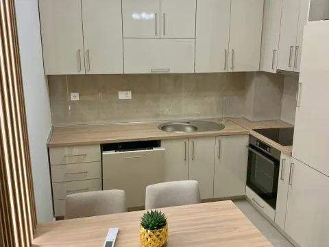 Rent, apartment, 48m², New City, Podgorica - image 5