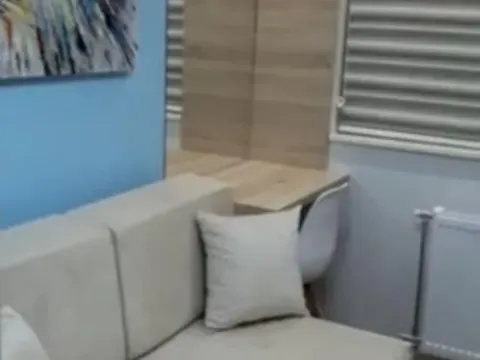 Izdavanje, dvosoban stan, 53m², Bulevar Oslobodjenja, Novi Sad Sve Podlokacije - image 9