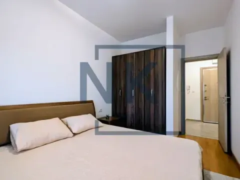 Izdavanje, jednosoban stan, 50m², Stari Aerodrom, Podgorica - image 7