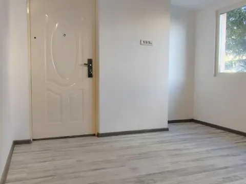 Prodaja, dvosoban stan, 50m², Telep, Novi Sad Sve Podlokacije - image 5