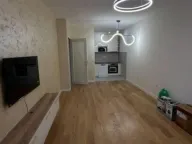 Izdavanje, jednosoban stan, 46m², Central Point, Podgorica - image 1