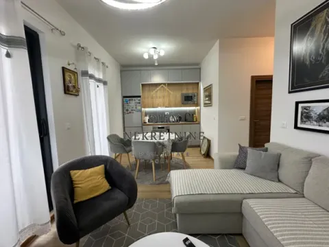 Izdavanje, jednosoban stan, 40m², Tološka šuma, Podgorica - image 8