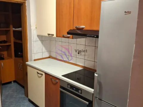 Izdavanje, jednosoban stan, 73m², Stari Aerodrom, Podgorica - image 9