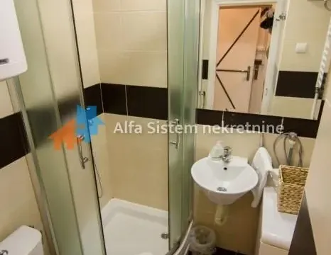 Izdavanje, dvosoban stan, 40m², Vračar Hram, Vračar Sve Podlokacije - image 20