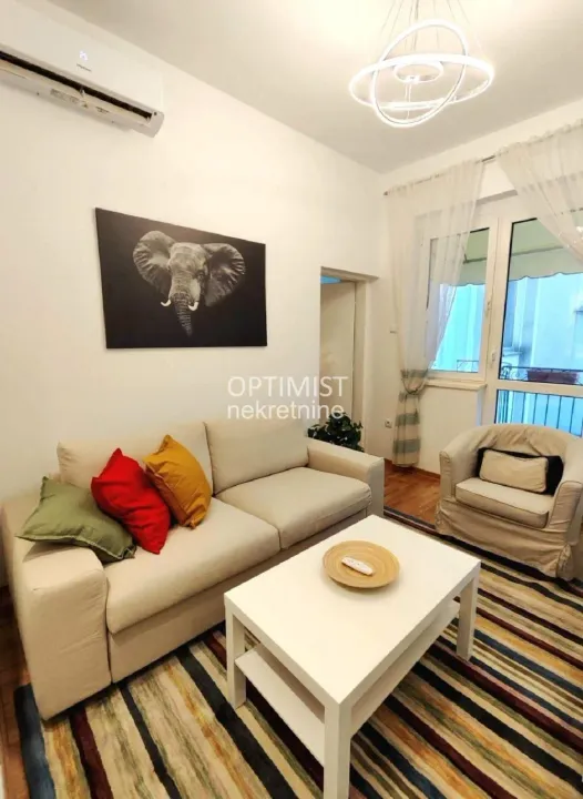 Izdavanje, dvosoban stan, 44m², Vračar Centar, Vračar Sve Podlokacije