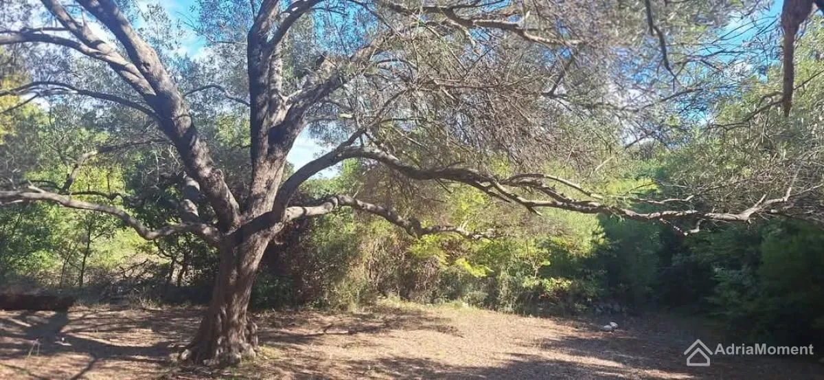 Sale, land lot, 1300m², Utjeha, Bar