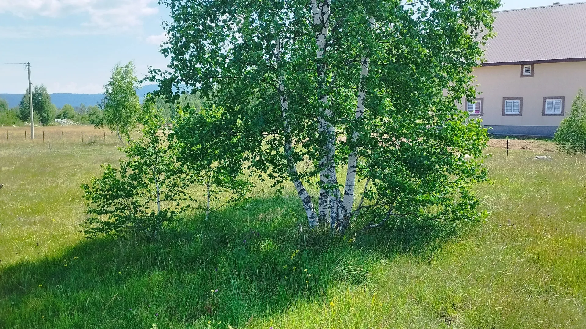 Sale, land lot, 596m², Tepačko polje, Žabljak